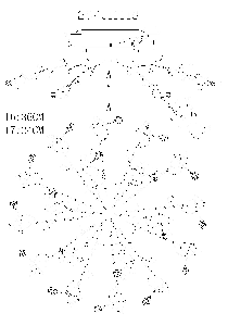 Потолочный светильник MW-Light Подснежник хром 294011618