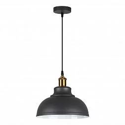 Подвесной светильник Odeon Light Pendant 3366/1