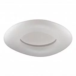 Настенно-потолочный светильник Odeon Light Aura 4064/80CL