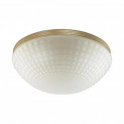 Настенно-потолочный светильник Odeon Light MODERN 4936/3C