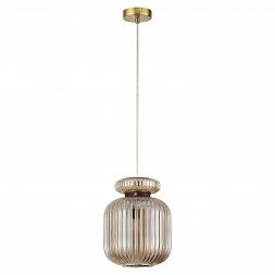 Подвесной светильник Odeon Light Pendant 5042/1A