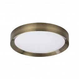 Настенно-потолочный светильник Odeon Light WALLI 4948/45CL