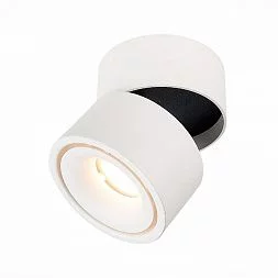 Светильник потолочный Белый LED 1*12W 3000K 1 000Lm Ra>90 36° IP20 D100xH105 170-240V Накладные светильники ST652.532.12